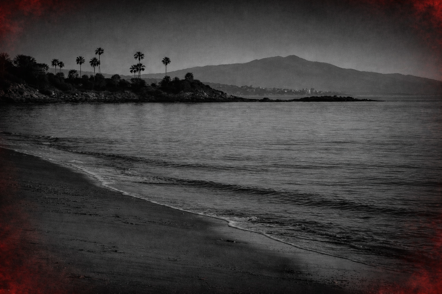 Palm Tree Audio studio — where the mountains meet the sea